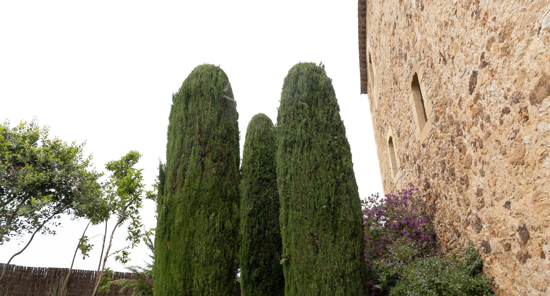 Es Portal, a farmhouse with three cypress trees