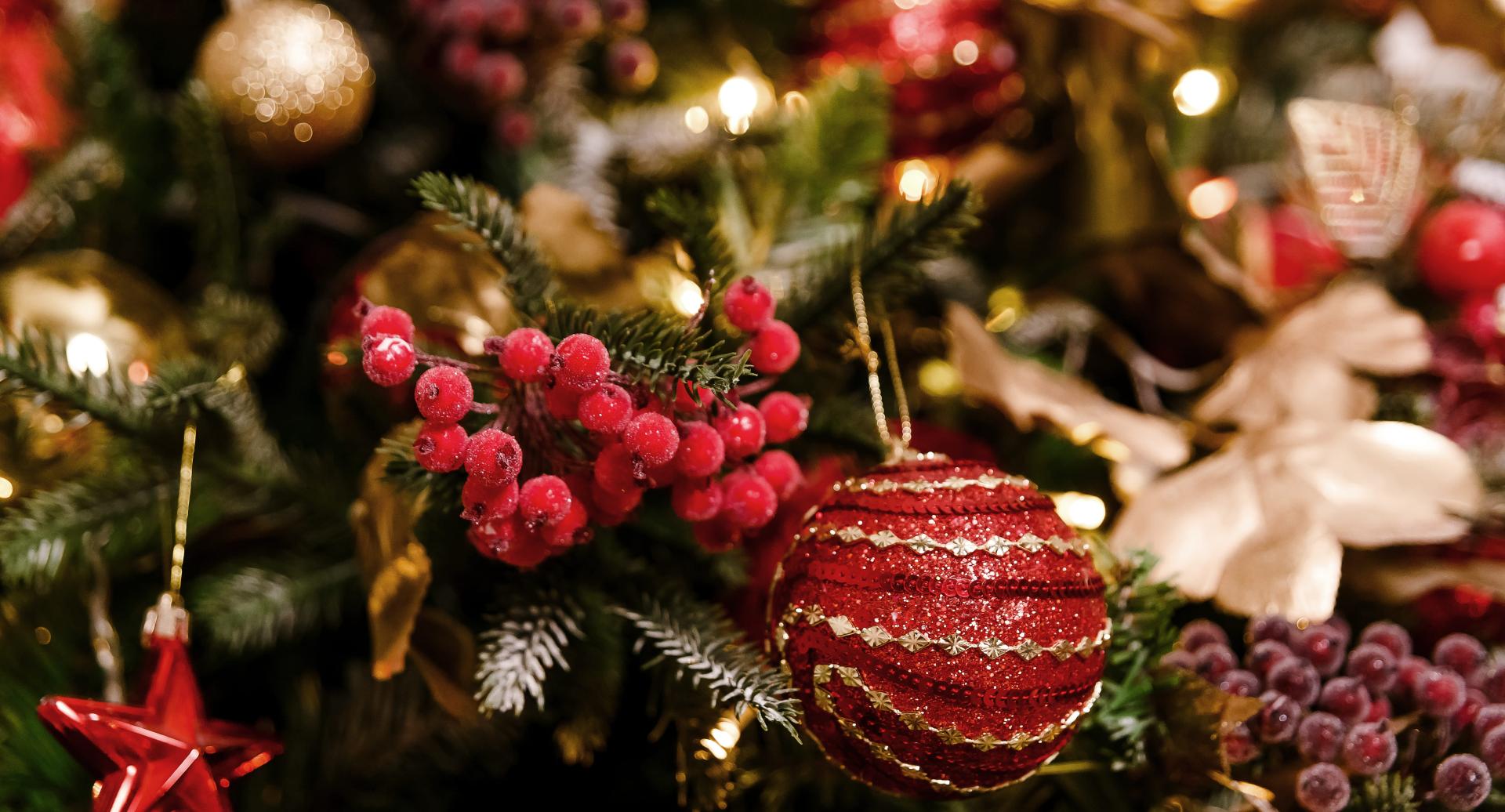 Gastronomy & Christmas season in Es Portal